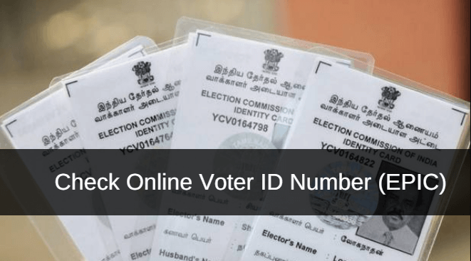 voter id card status check with epic number