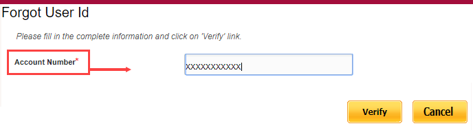 PNB net banking forgot User ID, get online 