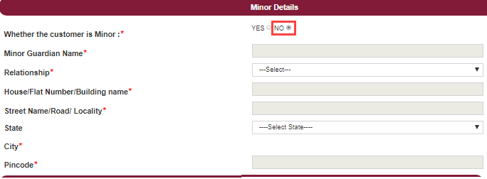 pnb account opening online