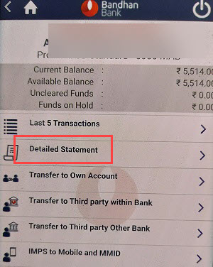 Bandhan Bank account statement