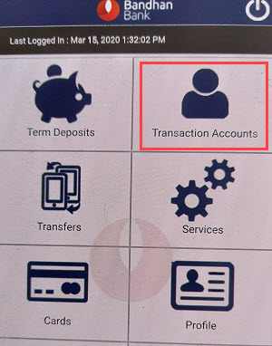 Bandhan Bank account statement