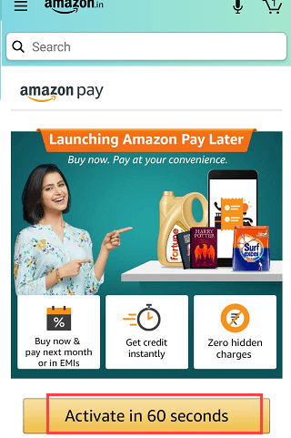 Amazon Pay later