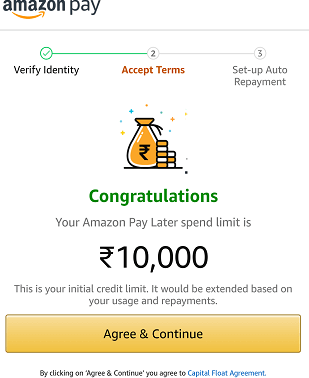 Amazon Pay later