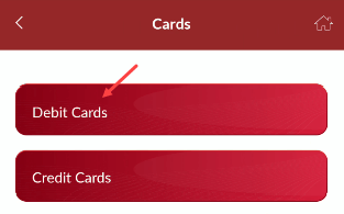 Indusind mobile banking Cards section