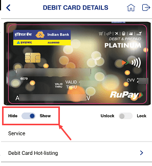 indian bank debit card details online check