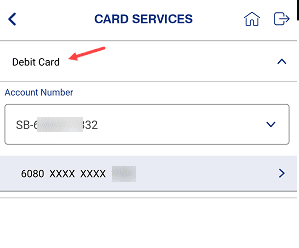 indian bank debit card details online check