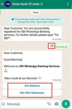 SBI Check balance and statement on WhatsApp