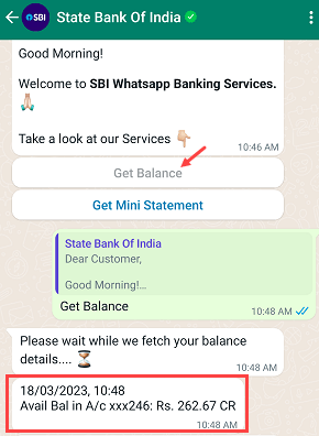 SBI Check balance and statement on WhatsApp