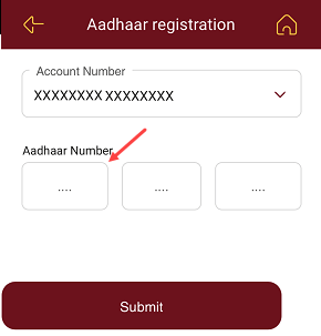 Punjab national bank (PNB) Aadhaar link Status Check