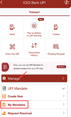 approve IPO mandate ICICI iMobile Pay