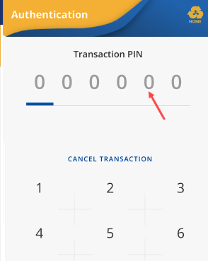 IndSMART Mobile Enter transaction PIN TPIN