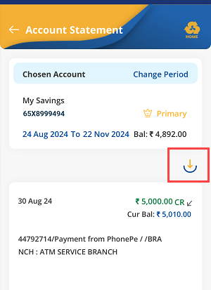 Download the Indian Bank Account Three Month Statement